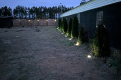 click for larger image